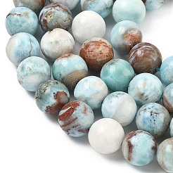 Natural Larimar Beads Strands&nbsp;G-C264-A01-10mm