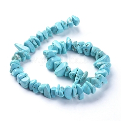 Natural Magnesite Beads Strands&nbsp;TURQ-G152-C01