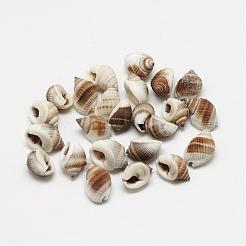 Natural Spiral Shell Beads&nbsp;BSHE-S613-02