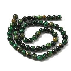 Dyed Natural Tiger Eye Beads Strands&nbsp;X-G-G102-A01-02