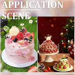 21Pcs Birthday Theme Mirror Effect Acrylic Birthday Cupcake Insert Card Decoration&nbsp;AJEW-SP0001-75