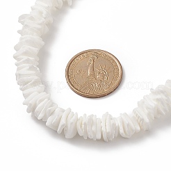 Natural Shell Fragment Irregular Beaded Bracelet & Necklace & Anklet&nbsp;SJEW-JS01264