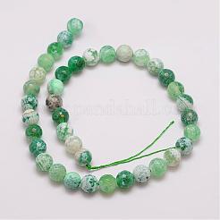 Natural Fire Crackle Agate Bead Strands&nbsp;G-G882-10mm-B01