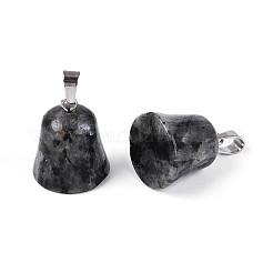 Natural Labradorite Pendants&nbsp;G-N349-15P-02
