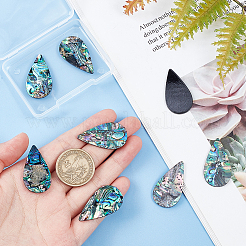 Natural Paua Shell Cabochons&nbsp;SHEL-BC0001-029B