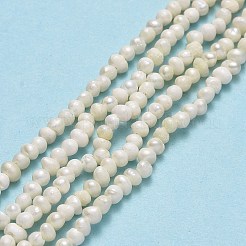 Natural Cultured Freshwater Pearl Beads Strands&nbsp;PEAR-F018-12