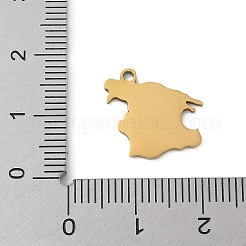 201 Stainless Steel Pendants&nbsp;STAS-S157-16G