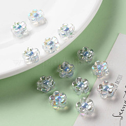 Transparent Acrylic Beads&nbsp;TACR-S152-06B-SS2113