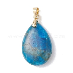 Natural Apatite Pendants&nbsp;PALLOY-JF04952