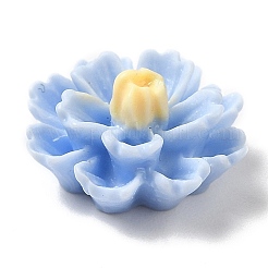 Opaque Resin Cabochons&nbsp;RESI-C036-02D