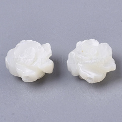 Natural Trochid Shell/Trochus Shell Beads&nbsp;SSHEL-N034-40A-01