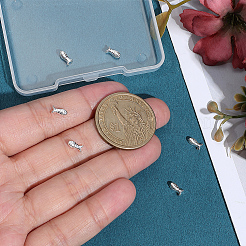 6Pcs 925 Sterling Silver Beads&nbsp;STER-PH0004-80