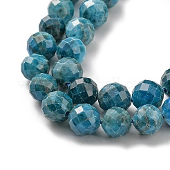 Natural Apatite Beads Strands&nbsp;LS-G-G927-32-9MM