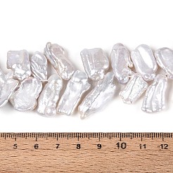 Natural Baroque Keshi Pearl Beads Strands&nbsp;PEAR-S022-04A