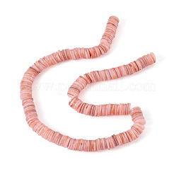 1 Strand Natural Freshwater Shell Beads Strands&nbsp;SHEL-TA0001-35B