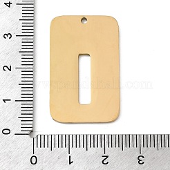 304 Stainless Steel Pendants&nbsp;STAS-D200-01I-G