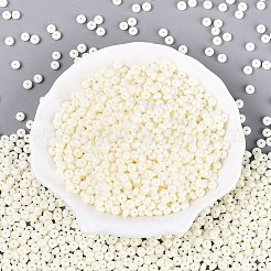 Opaque Glass Seed Beads&nbsp;SEED-N012-09A-01