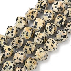 Natural Dalmatian Jasper Beads Strands&nbsp;G-C267-B21