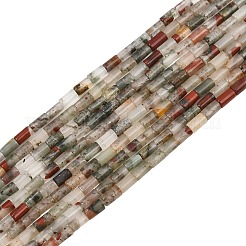 Natural African Bloodstone Beads Strands&nbsp;GG-CBAED3F-A10