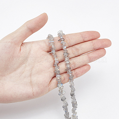 Natural Labradorite Bead Strands&nbsp;G-GL0001-03