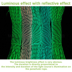 30M Luminous Glow in the Dark Polyester Cord&nbsp;AJEW-SP0004-86C
