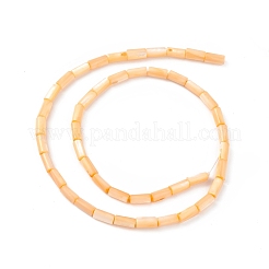 Natural Freshwater Shell Dyed Beads Strands&nbsp;SHEL-M018-11