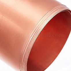Copper Rolls&nbsp;AJEW-WH0252-54F-01