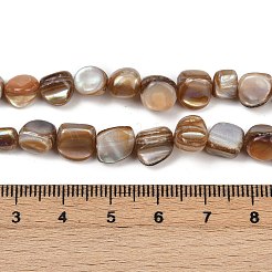 Natural Trochus Shell Beads Strands&nbsp;BSHE-Q050-01A