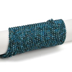 Natural Apatite Beads Strands&nbsp;X-G-E411-36-3mm-02