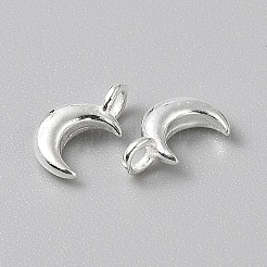 925 Sterling Silver Charms&nbsp;STER-WH0019-32B