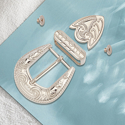 Belt Zinc Alloy Buckle Sets&nbsp;FIND-GF0009-33