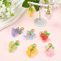 12Pcs 6 Styles Transparent Two Tone Spray Painted Glass with Acrylic Pendant Decorations&nbsp;HJEW-YW00381