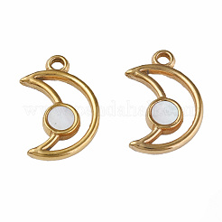 304 Stainless Steel Pendants&nbsp;STAS-N087-50-05G