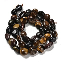 Natural Tiger Eye Beads Strands&nbsp;G-P497-01E-46
