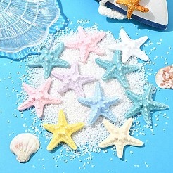 10Pcs Resin Decoden Cabochons&nbsp;CRES-YW0001-42