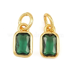 Brass Pave Cubic Zirconia Charms&nbsp;CU-CBA3D67-12G