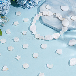 120Pcs 6 Styles Natural Shell Beads&nbsp;SHEL-GO0001-07