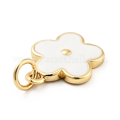 Rack Plating Brass Enamel Charms&nbsp;X-KK-G387-09G