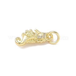 Brass Micro Pave Cubic Zirconia Charms&nbsp;ZIRC-I356-13G-03