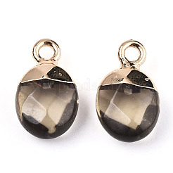 Faceted Glass Charms&nbsp;GLAA-N040-007A