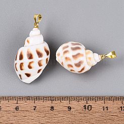 Brass & Natural Spiral Shell Pendants&nbsp;SHEL-Q029-16KCG