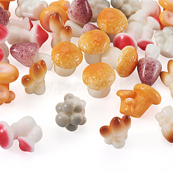 30Pcs 6 Colors Mushroom Themes Resin Display Decorations&nbsp;DJEW-TA0001-27