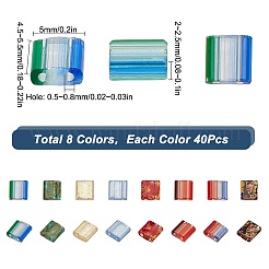 320Pcs 8 Style 2-Hole Glass Seed Beads&nbsp;SEED-SC0001-09