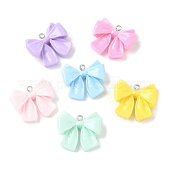 Opaque Resin Pendants&nbsp;RESI-V005-004