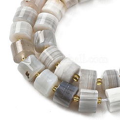 Natural Botswana Agate Beads Strands&nbsp;G-K245-C17
