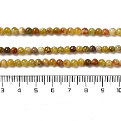 Natural Serpentine Beads Strands&nbsp;G-H298-A10-01