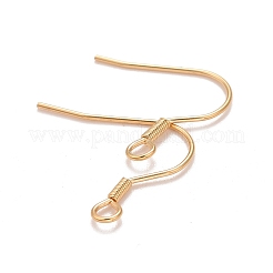 304 Stainless Steel Earrings Hooks&nbsp;X-STAS-P227-06G