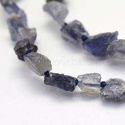Rough Raw Natural Kyanite/Cyanite/Disthene Beads Strands&nbsp;G-K202-15