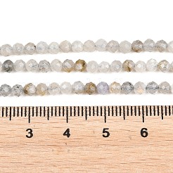 Natural Labradorite Beads Strands&nbsp;G-RM250104-A1