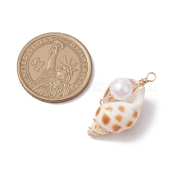 Natural Shell Pendants&nbsp;PALLOY-JF03226
